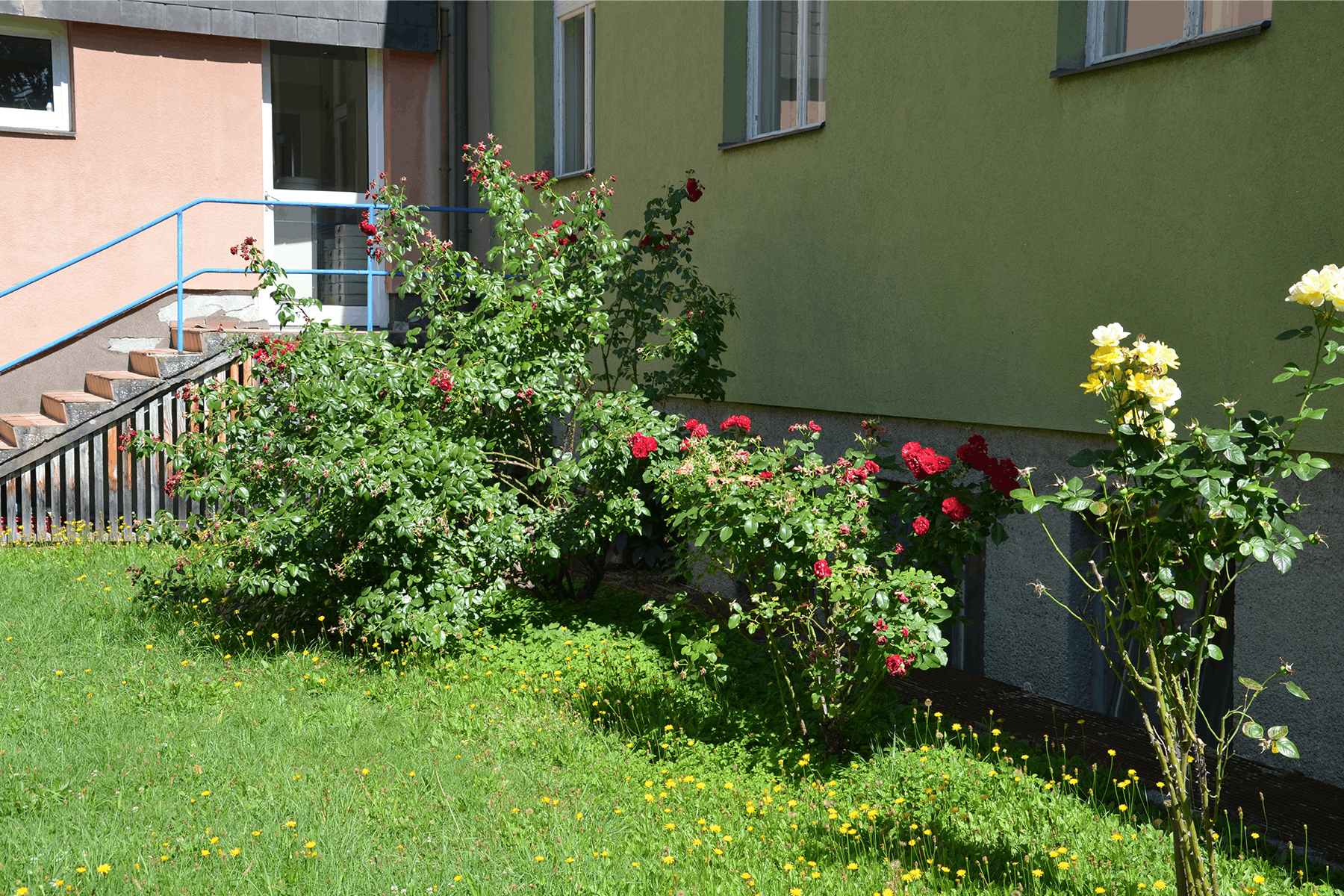 Aussenbereich - Bild 2